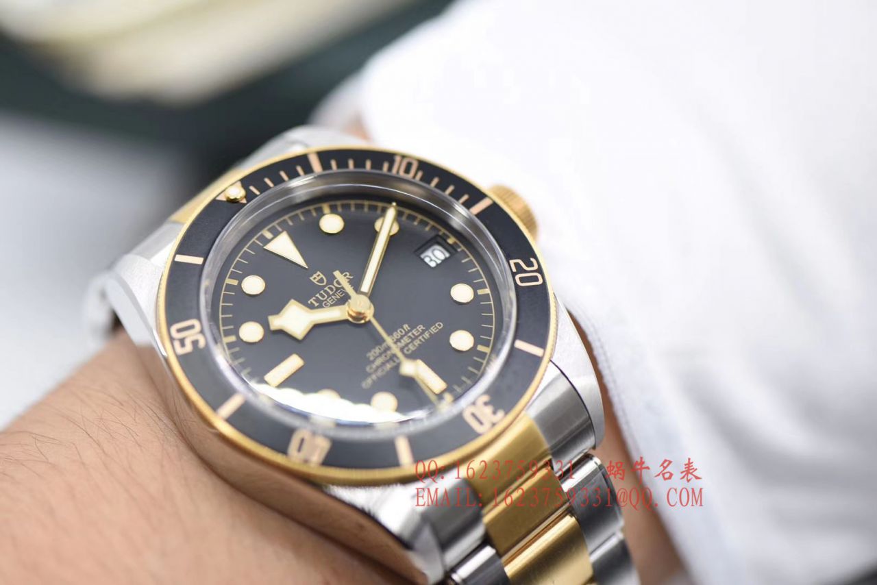 【ZF厂帝舵复刻手表】帝舵碧湾系列M79733N-0004腕表 / DT039